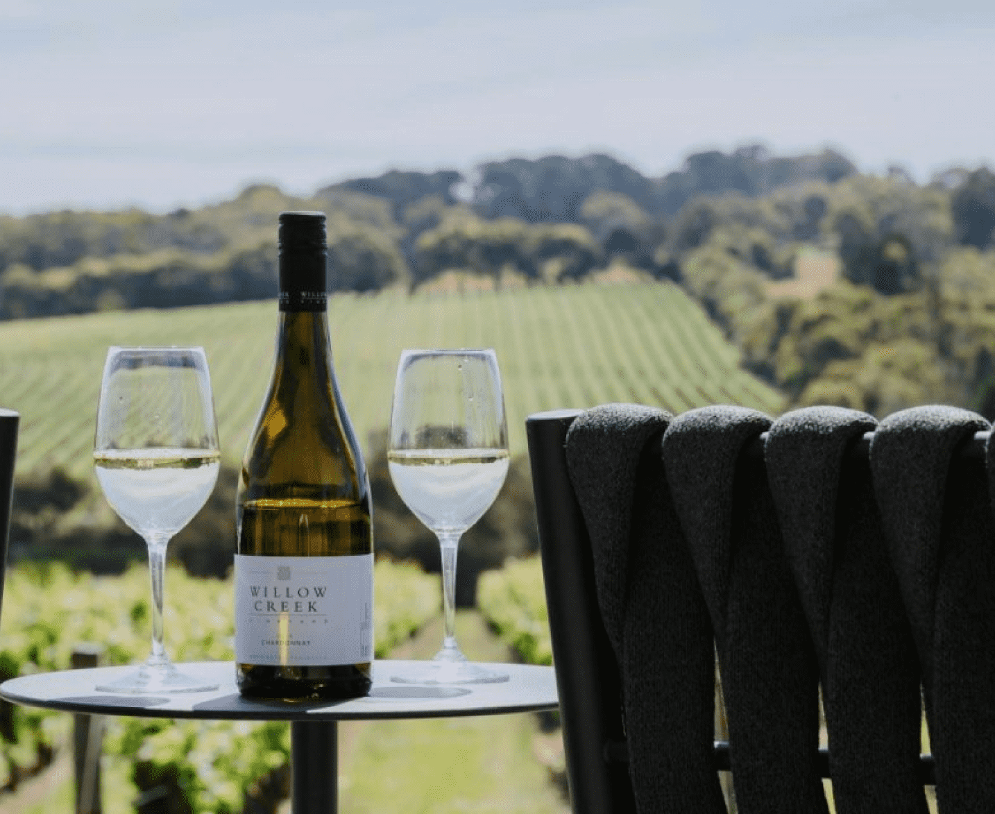 Photoshoot with Influencer for Jackalope Hotel & Willow Creek Winery