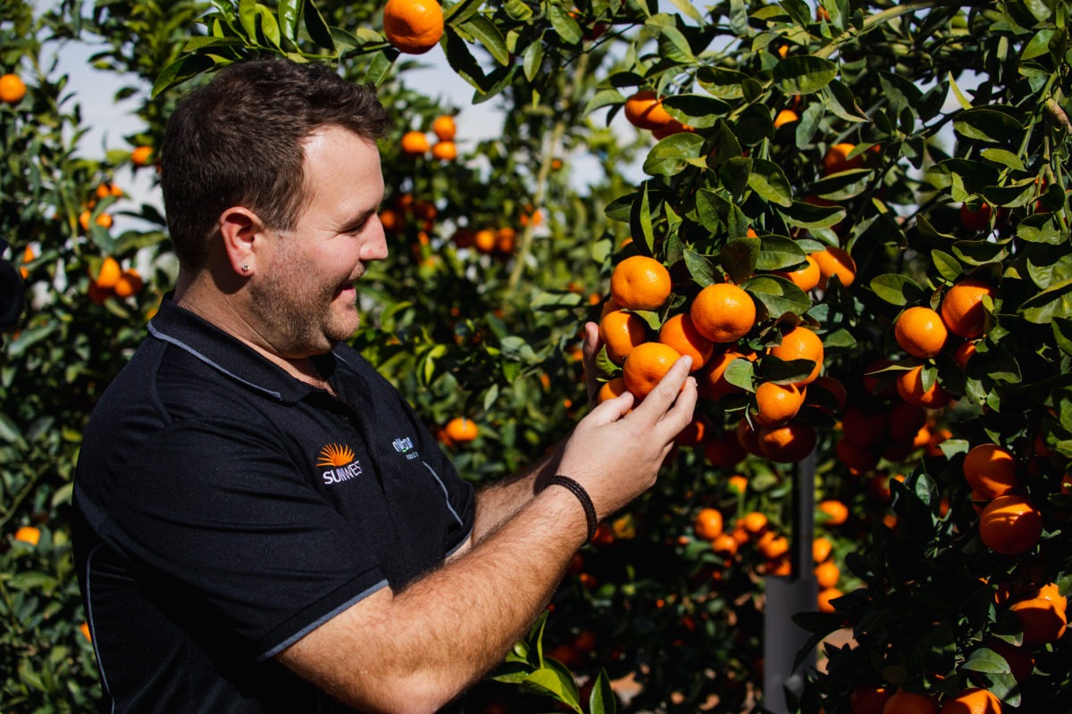Delite Orchard with Tom Walton